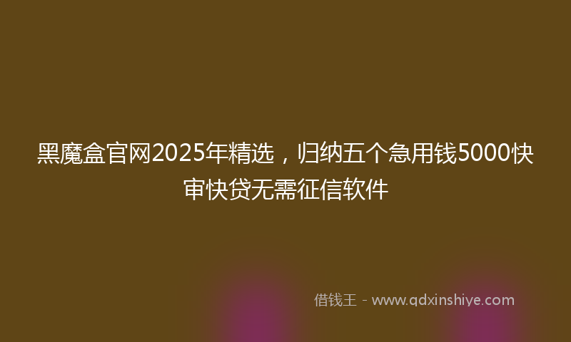 黑魔盒官网2025年精选，归纳五个急用钱5000快审快贷无需征信软件