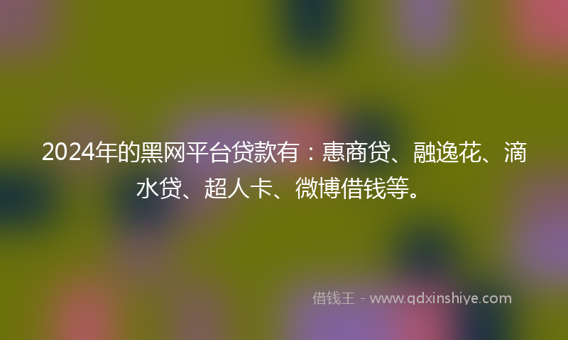 2024年的黑网平台贷款有：惠商贷、融逸花、滴水贷、超人卡、微博借钱等。