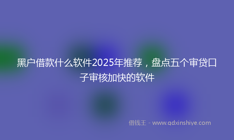 黑户借款什么软件2025年推荐，盘点五个审贷口子审核加快的软件