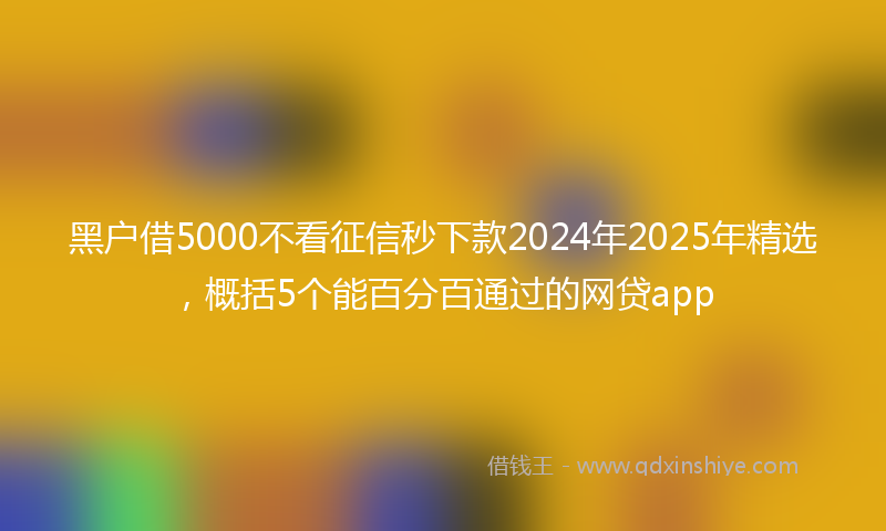黑户借5000不看征信秒下款2024年2025年精选，概括5个能百分百通过的网贷app