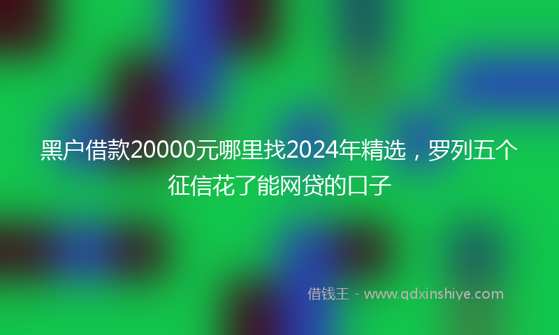 黑户借款20000元哪里找2024年精选，罗列五个征信花了能网贷的口子