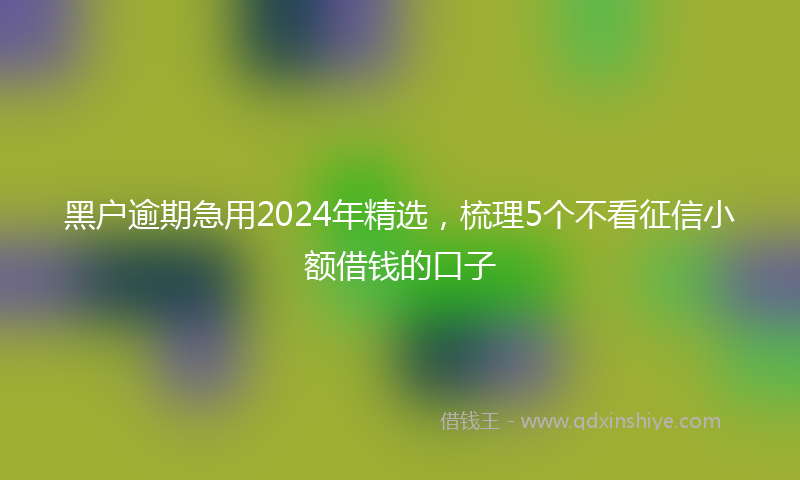 黑户逾期急用2024年精选，梳理5个不看征信小额借钱的口子