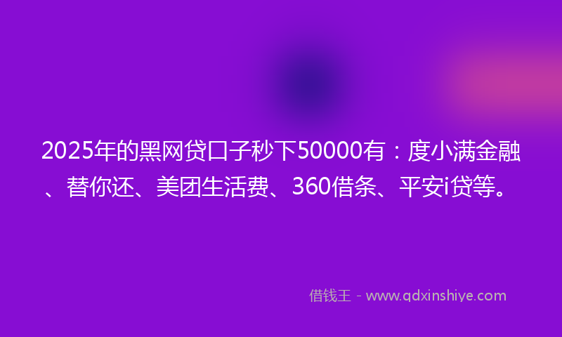 2025年的黑网贷口子秒下50000有：度小满金融、替你还、美团生活费、360借条、平安i贷等。
