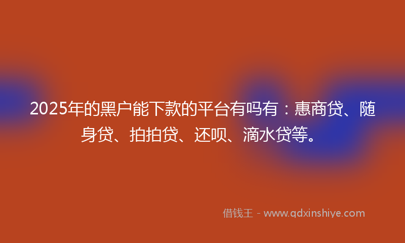 2025年的黑户能下款的平台有吗有：惠商贷、随身贷、拍拍贷、还呗、滴水贷等。