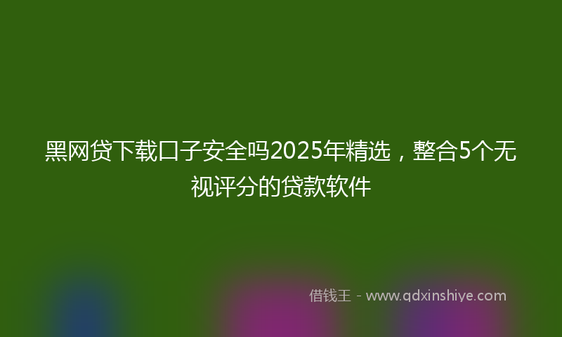 黑网贷下载口子安全吗2025年精选，整合5个无视评分的贷款软件