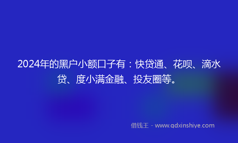 2024年的黑户小额口子有：快贷通、花呗、滴水贷、度小满金融、投友圈等。