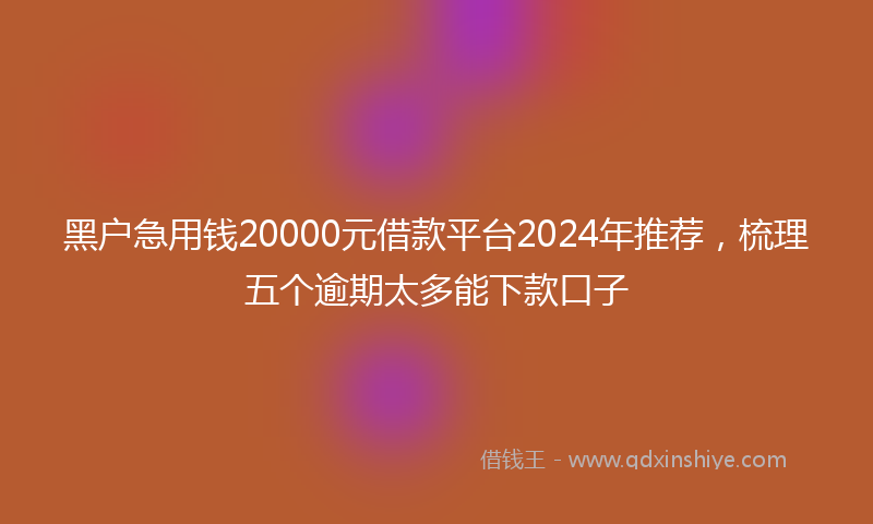 黑户急用钱20000元借款平台2024年推荐，梳理五个逾期太多能下款口子