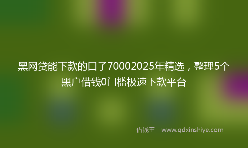 黑网贷能下款的口子70002025年精选，整理5个黑户借钱0门槛极速下款平台