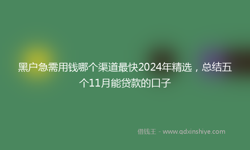 黑户急需用钱哪个渠道最快2024年精选，总结五个11月能贷款的口子