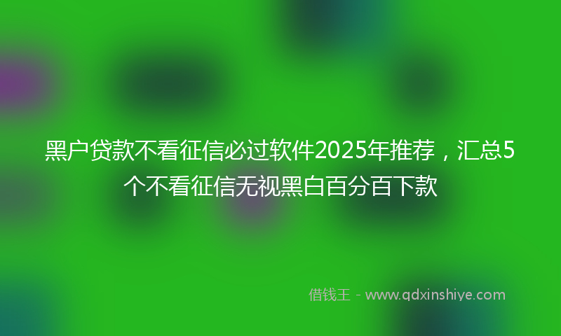 黑户贷款不看征信必过软件2025年推荐，汇总5个不看征信无视黑白百分百下款