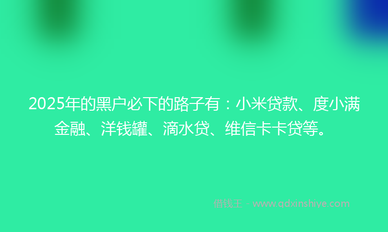 2025年的黑户必下的路子有：小米贷款、度小满金融、洋钱罐、滴水贷、维信卡卡贷等。