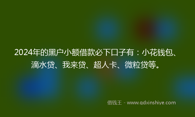 2024年的黑户小额借款必下口子有：小花钱包、滴水贷、我来贷、超人卡、微粒贷等。