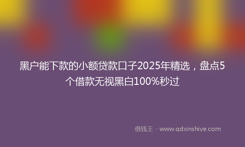 黑户能下款的小额贷款口子2025年精选，盘点5个借款无视黑白100%秒过