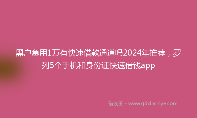 黑户急用1万有快速借款通道吗2024年推荐，罗列5个手机和身份证快速借钱app