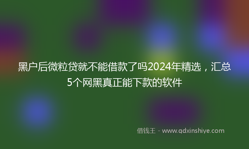 黑户后微粒贷就不能借款了吗2024年精选，汇总5个网黑真正能下款的软件