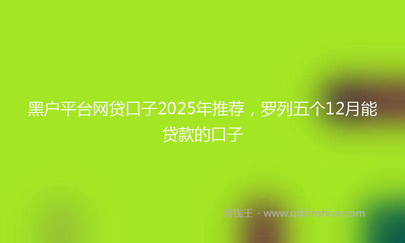 黑户平台网贷口子2025年推荐，罗列五个12月能贷款的口子