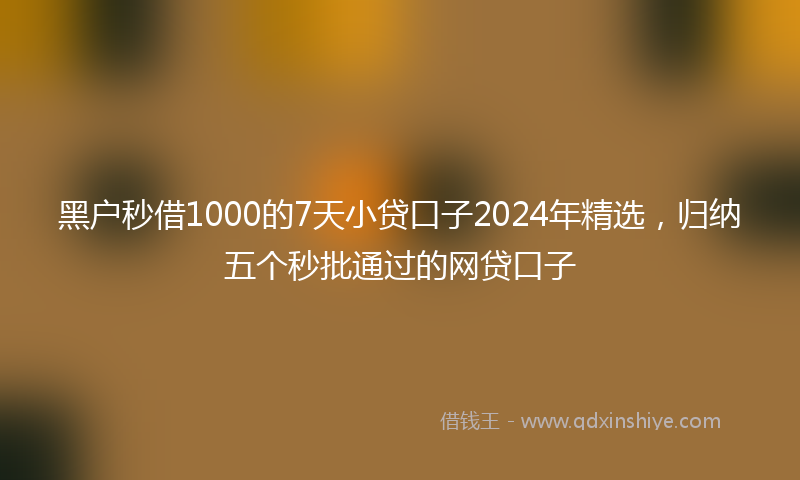 黑户秒借1000的7天小贷口子2024年精选，归纳五个秒批通过的网贷口子