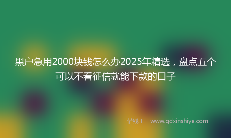黑户急用2000块钱怎么办2025年精选，盘点五个可以不看征信就能下款的口子