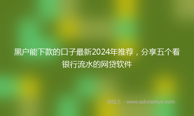 黑户能下款的口子最新2024年推荐，分享五个看银行流水的网贷软件
