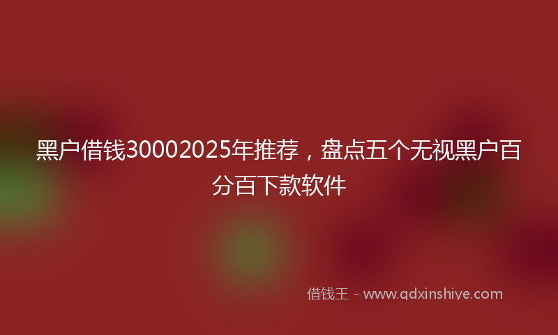 黑户借钱30002025年推荐，盘点五个无视黑户百分百下款软件