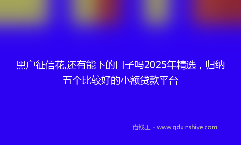 黑户征信花,还有能下的口子吗2025年精选，归纳五个比较好的小额贷款平台
