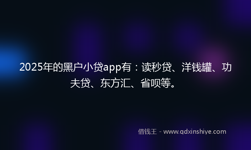 2025年的黑户小贷app有：读秒贷、洋钱罐、功夫贷、东方汇、省呗等。