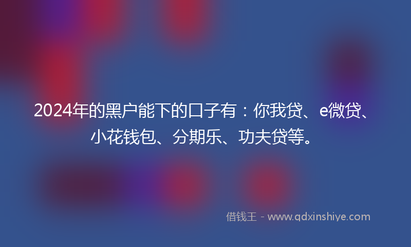 2024年的黑户能下的口子有：你我贷、e微贷、小花钱包、分期乐、功夫贷等。