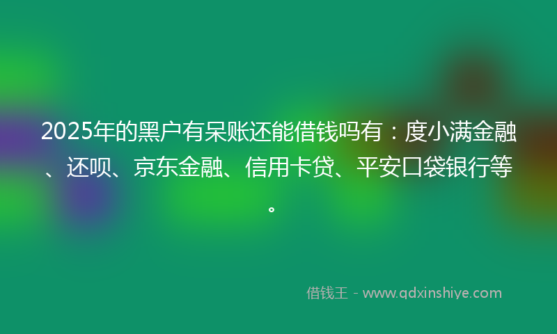 2025年的黑户有呆账还能借钱吗有：度小满金融、还呗、京东金融、信用卡贷、平安口袋银行等。