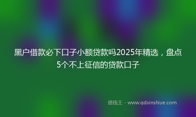 黑户借款必下口子小额贷款吗2025年精选，盘点5个不上征信的贷款口子