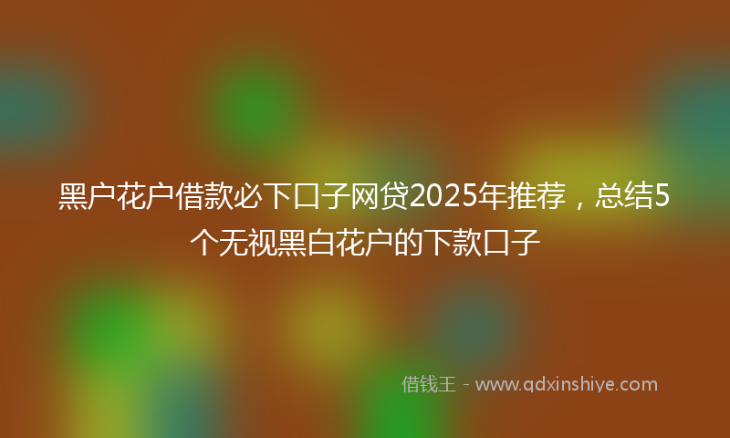 黑户花户借款必下口子网贷2025年推荐，总结5个无视黑白花户的下款口子