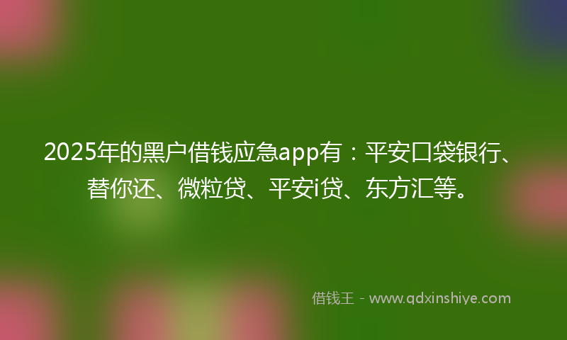 2025年的黑户借钱应急app有：平安口袋银行、替你还、微粒贷、平安i贷、东方汇等。