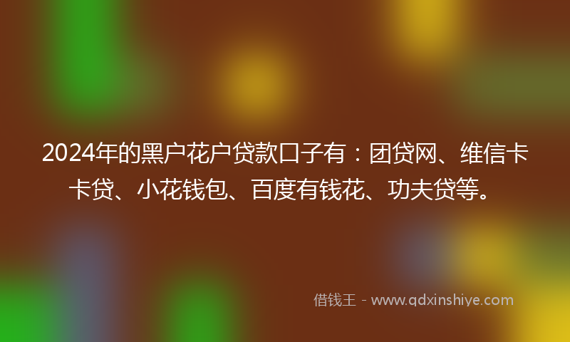 2024年的黑户花户贷款口子有：团贷网、维信卡卡贷、小花钱包、百度有钱花、功夫贷等。