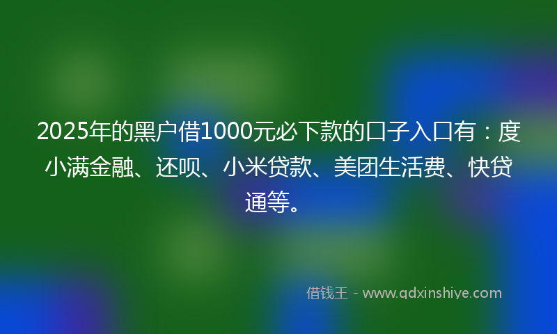 2025年的黑户借1000元必下款的口子入口有：度小满金融、还呗、小米贷款、美团生活费、快贷通等。