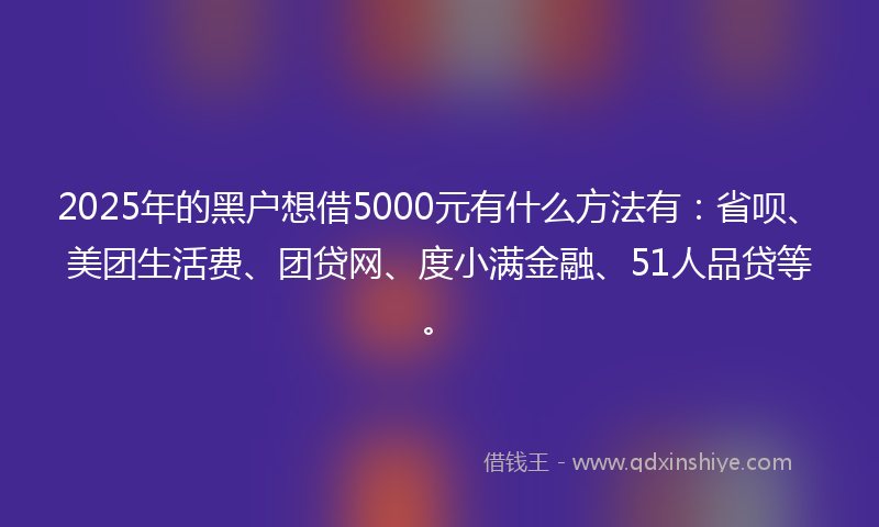 2025年的黑户想借5000元有什么方法有：省呗、美团生活费、团贷网、度小满金融、51人品贷等。