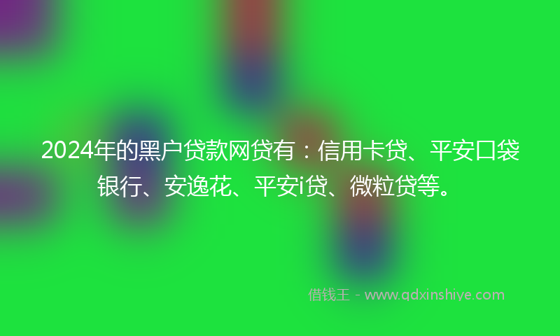 2024年的黑户贷款网贷有：信用卡贷、平安口袋银行、安逸花、平安i贷、微粒贷等。