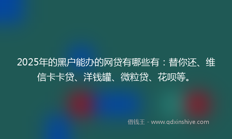 2025年的黑户能办的网贷有哪些有：替你还、维信卡卡贷、洋钱罐、微粒贷、花呗等。
