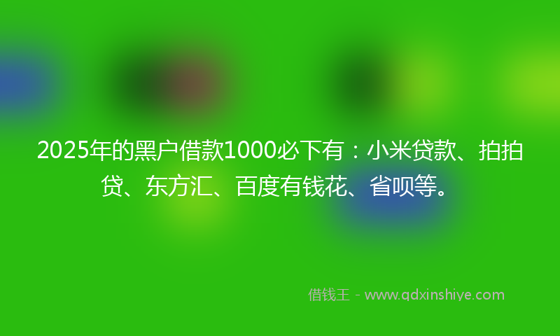 2025年的黑户借款1000必下有：小米贷款、拍拍贷、东方汇、百度有钱花、省呗等。