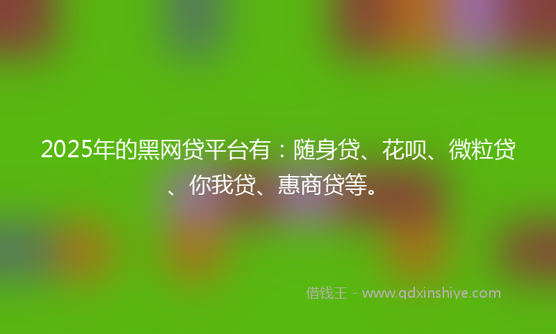2025年的黑网贷平台有：随身贷、花呗、微粒贷、你我贷、惠商贷等。