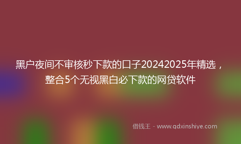 黑户夜间不审核秒下款的口子20242025年精选，整合5个无视黑白必下款的网贷软件