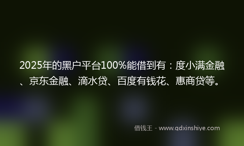 2025年的黑户平台100%能借到有：度小满金融、京东金融、滴水贷、百度有钱花、惠商贷等。