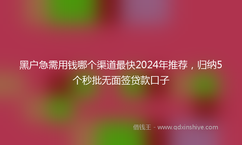 黑户急需用钱哪个渠道最快2024年推荐，归纳5个秒批无面签贷款口子