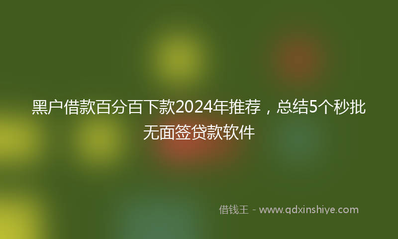黑户借款百分百下款2024年推荐，总结5个秒批无面签贷款软件