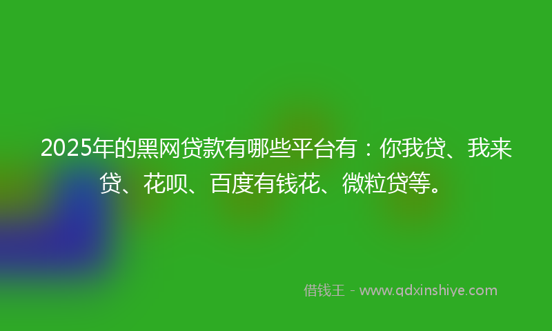 2025年的黑网贷款有哪些平台有：你我贷、我来贷、花呗、百度有钱花、微粒贷等。
