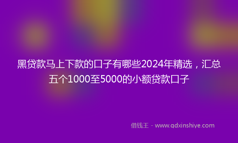 黑贷款马上下款的口子有哪些2024年精选，汇总五个1000至5000的小额贷款口子