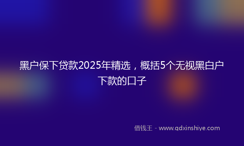 黑户保下贷款2025年精选，概括5个无视黑白户下款的口子