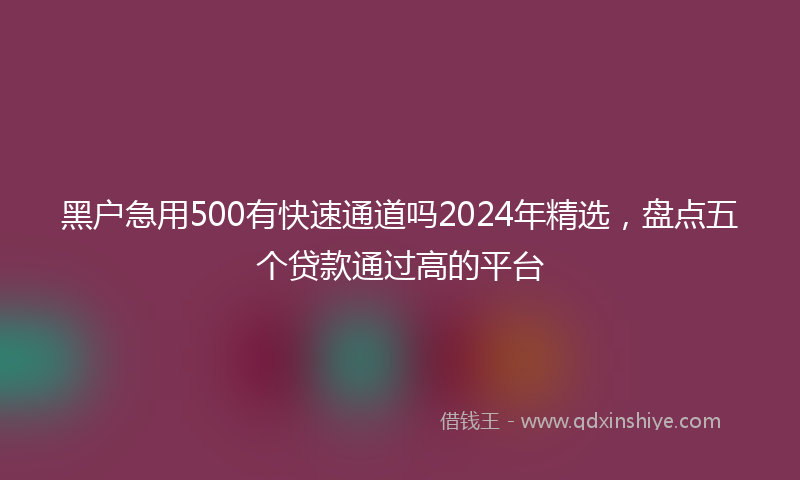 黑户急用500有快速通道吗2024年精选，盘点五个贷款通过高的平台