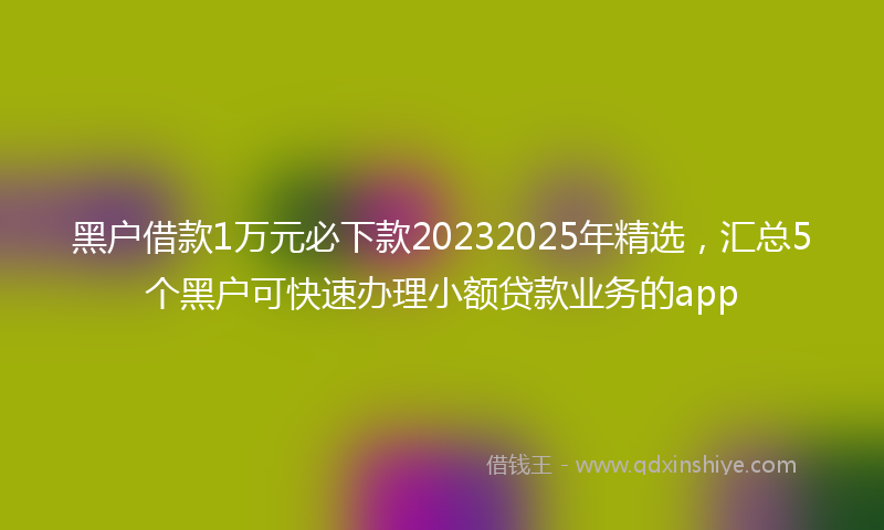 黑户借款1万元必下款20232025年精选，汇总5个黑户可快速办理小额贷款业务的app