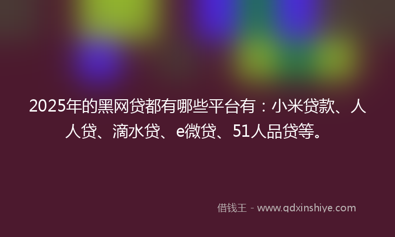 2025年的黑网贷都有哪些平台有：小米贷款、人人贷、滴水贷、e微贷、51人品贷等。