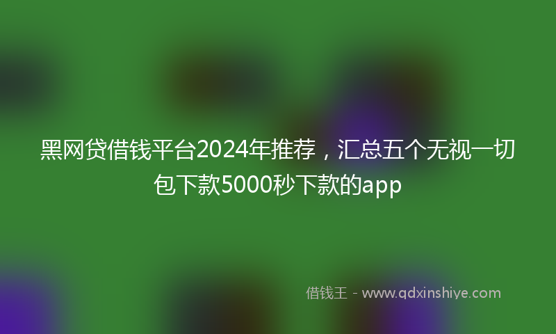 黑网贷借钱平台2024年推荐，汇总五个无视一切包下款5000秒下款的app