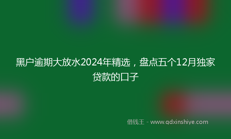 黑户逾期大放水2024年精选，盘点五个12月独家贷款的口子